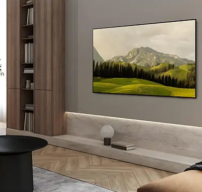TV