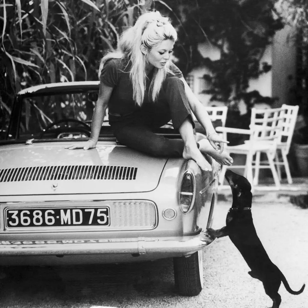 Acrylic glass picture - Brigitte Bardot
