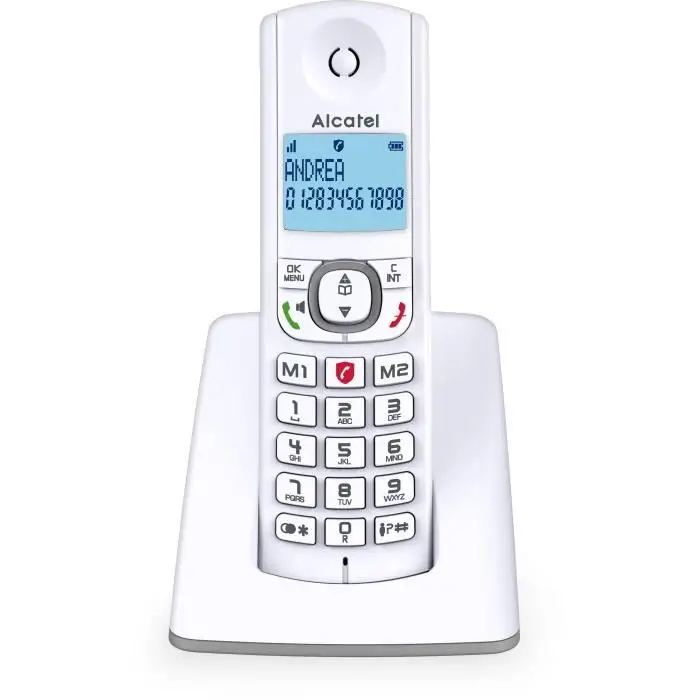 ALCATEL F530 - Téléphone Fixe Sans Fil DECT - Grand Écran Rétroéclairé - Mains Libres - Fonction Blocage Des Appels - 2 Touches De Mémoires Directes - Blanc/Gris